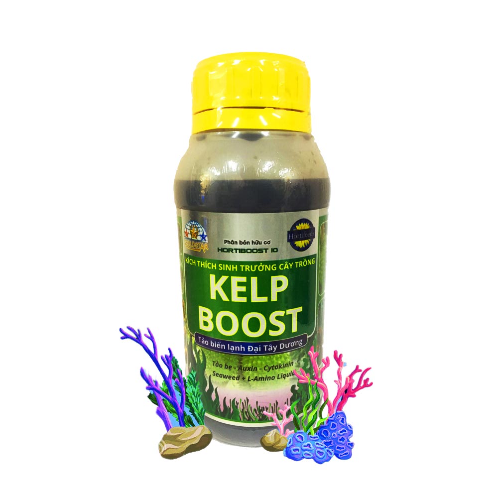 kich-thich-sinh-truong-tao-bien-kelp-boost-auxin-cytokinin-kim-nong-01