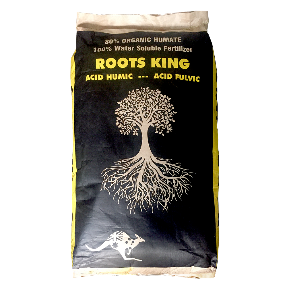 thuốc kích rễ roots king