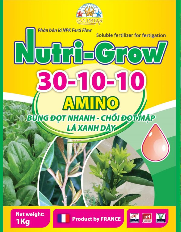nutri-grow 30-10-10 amino pháp - Kéo đọt sầu riêng