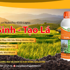 Alternative view of TÁI SINH – TẠO LÁ USA - KÉO ĐỌT MẠNH