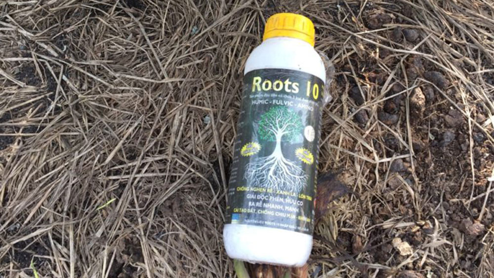 Thuốc kích rễ roots 10
