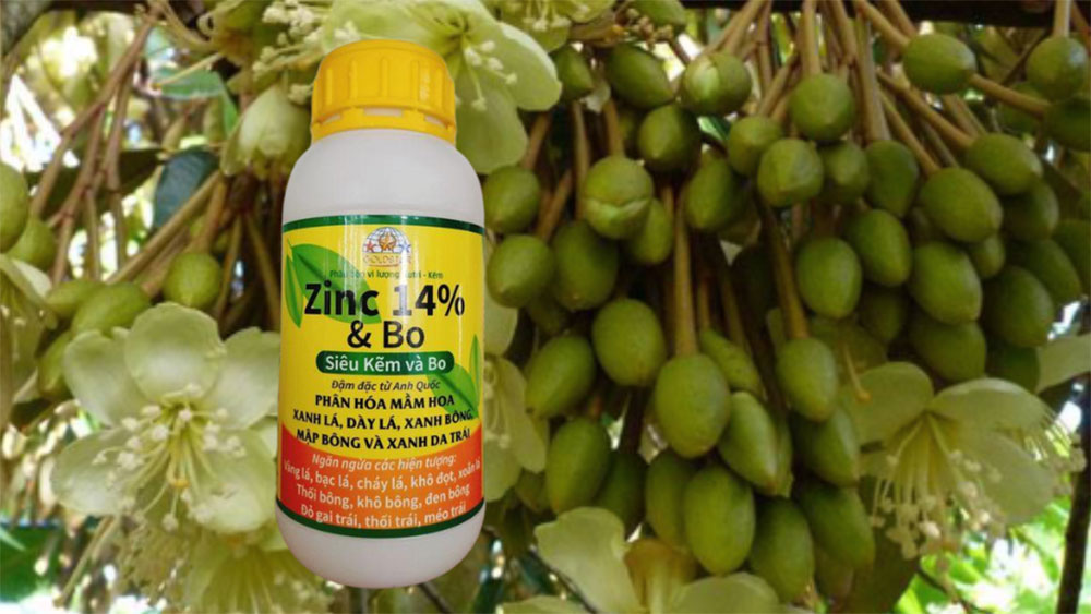 Sản Phẩm ZinC 14% dưỡng bông xanh mướt