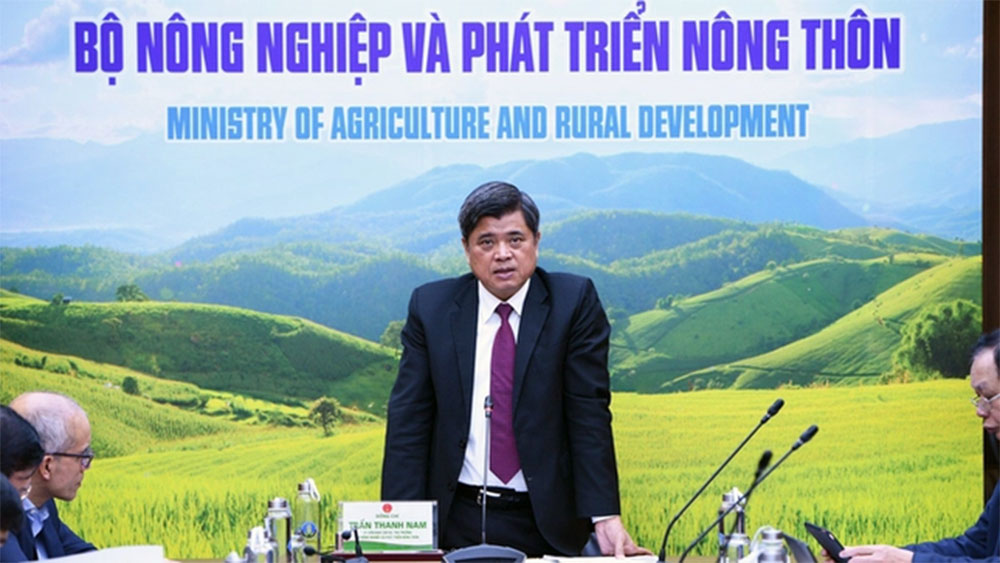 Thứ trưởng Trần Thanh Nam cho biết, dư địa hàng nông sản Việt tại thị trường Trung Quốc vẫn còn tiềm năng rất lớn.