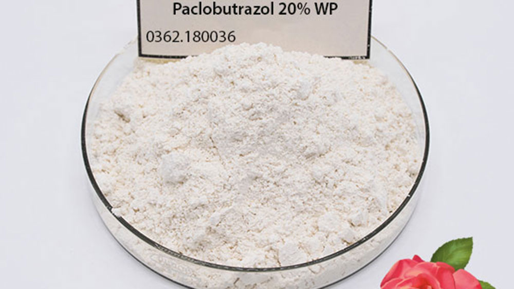 Paclobutrazol 20% WP