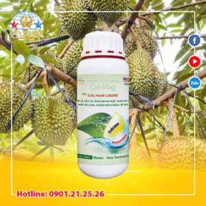 Phân bón lá cao cấp Cal-Mag Liquid