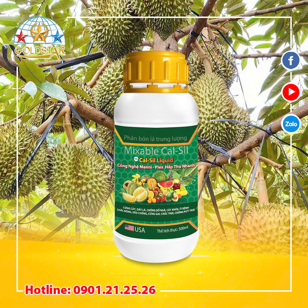 Phân bón Cal Sil Liquid giúp cứng cây, chắc trái, hạn chế nứt trái