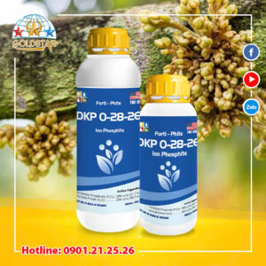 Phân bón lá cao cấp DKP 0-28-26 lưu dẫn hai chiều ra hoa đậu quả