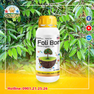 Phân bón Foli Bor Tăng Đậu Trái, Hạn Chế Rụng Sinh Lý