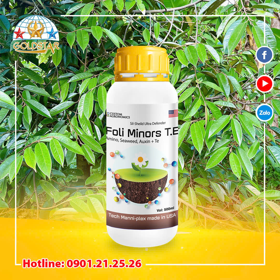 Phân bón Foli Minors T.E Giúp Xanh Trái, Tăng Đậu Trái